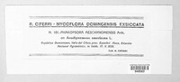 Image of Phakopsora aeschynomenes